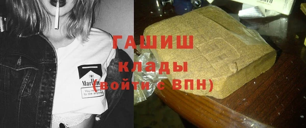 стаф Грязовец