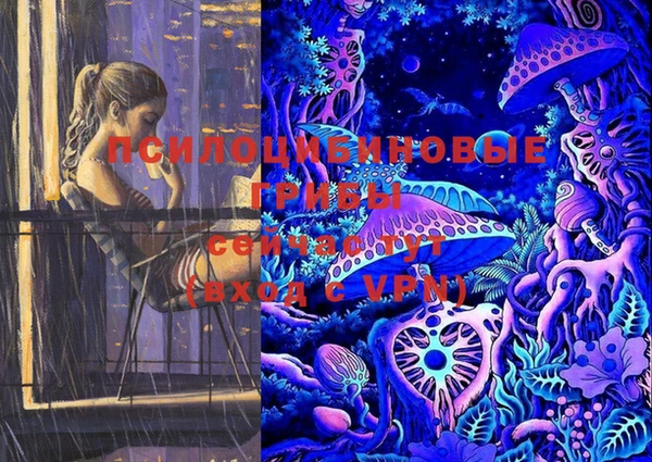 не бодяженный Гусиноозёрск