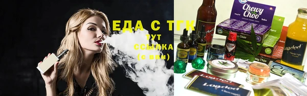ECSTASY Гусь-Хрустальный