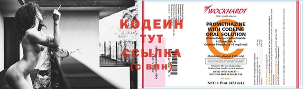 ECSTASY Гусь-Хрустальный