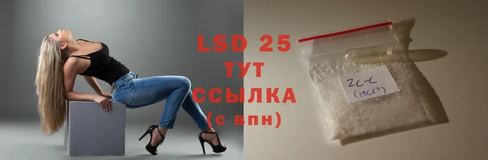 ECSTASY Гусь-Хрустальный