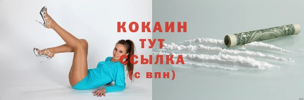 ECSTASY Гусь-Хрустальный