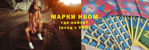 ECSTASY Гусь-Хрустальный