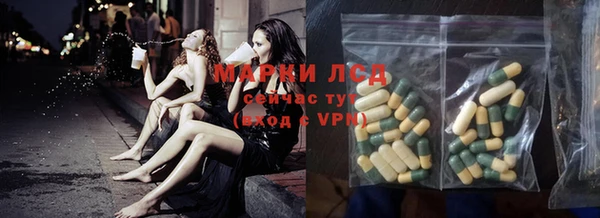 ECSTASY Гусь-Хрустальный